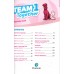 Team Together 1 (CEFR Pre A1/A1) Activity Book